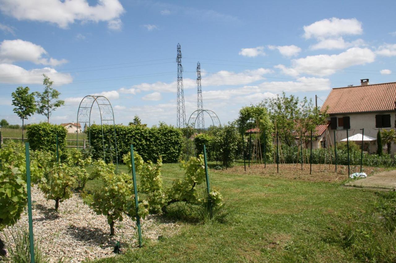 1 Bedroom House 20Min Walk To Centre In Tournus Bagian luar foto