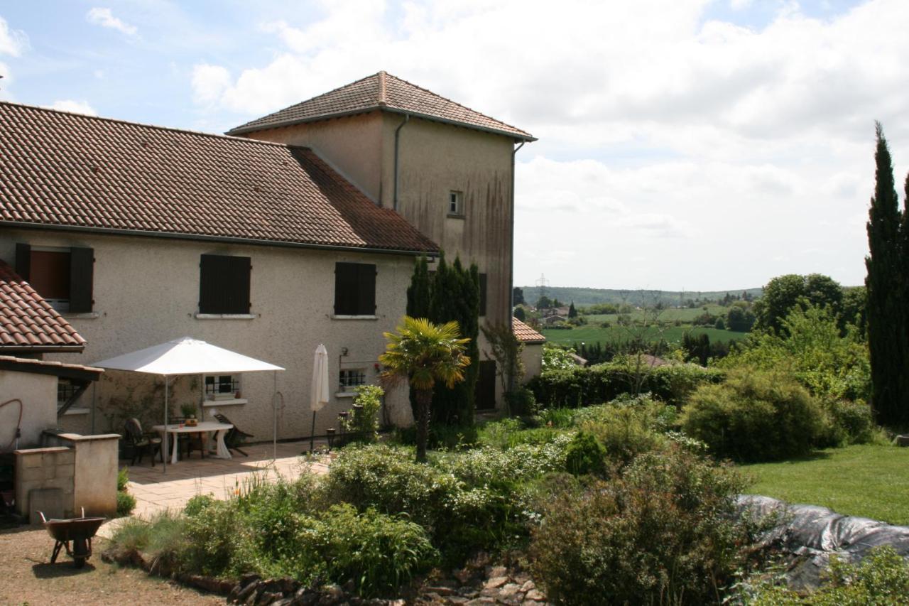 1 Bedroom House 20Min Walk To Centre In Tournus Bagian luar foto